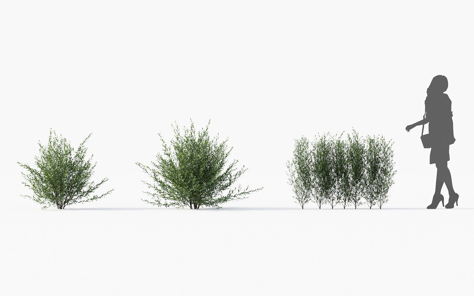 Maxtree - Plant Models Vol.28