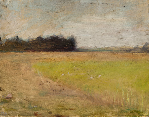 Landscape in Finland 1905   1906
