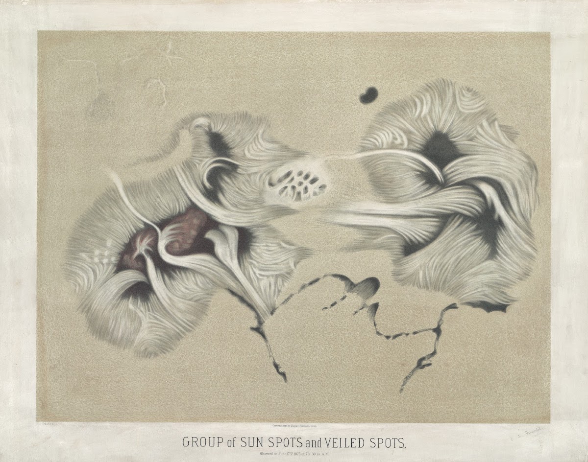 Group of sun spots and veiled spots 1881 1882