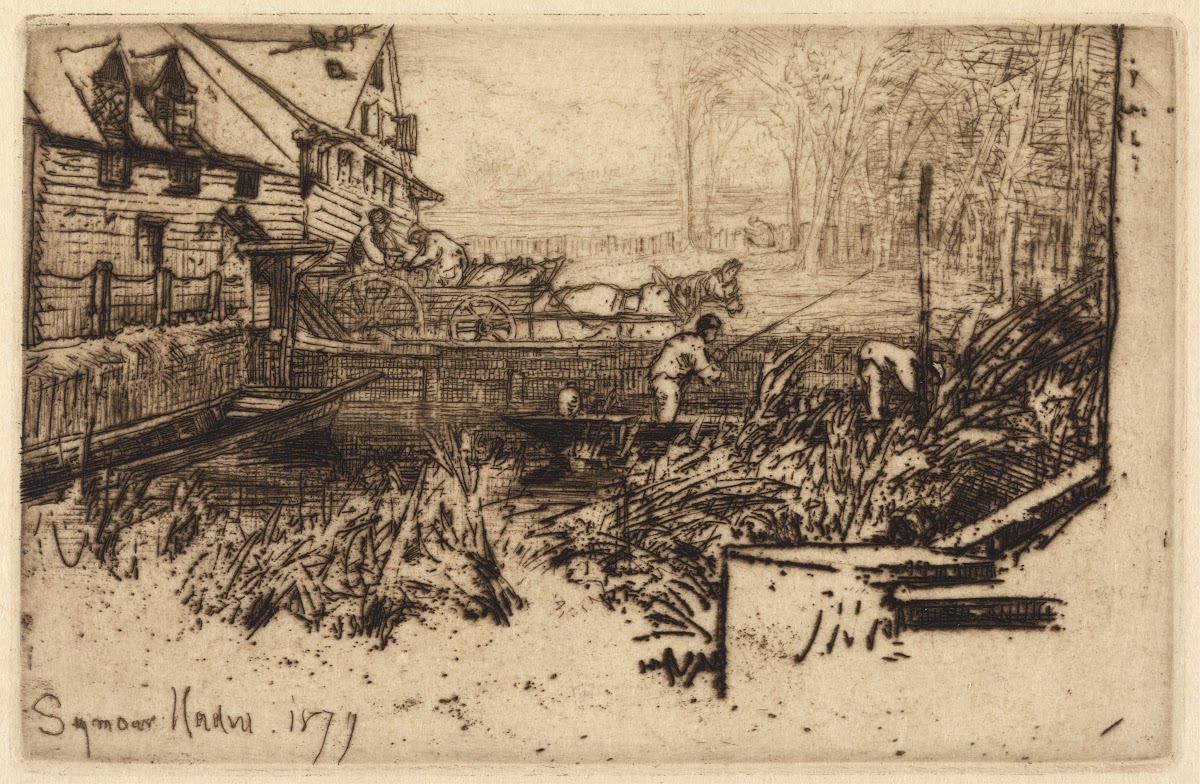 Dusty Millers 1877