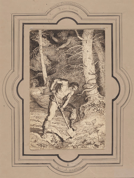 Fern Flower Illustration for a Fable by Walery Przyborowski 1880