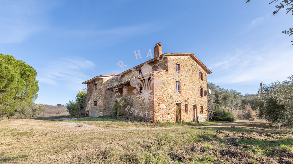 הפוג'יו דגלי אוליבי (Il Poggio degli Ulivi) — 10