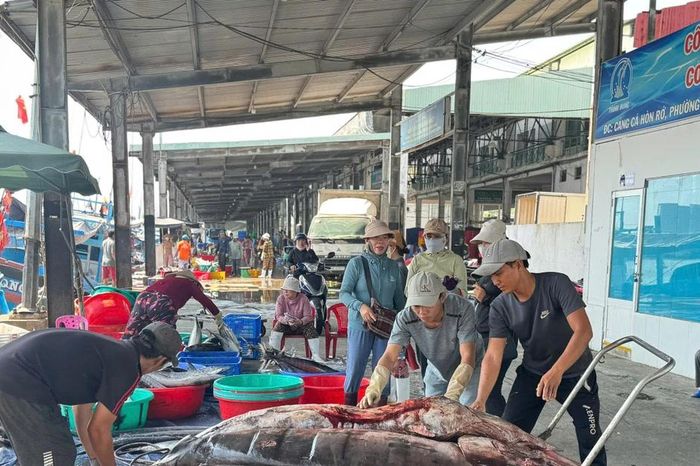 'Đột nhập' cảng cá lớn nhất vùng Duyên hải Nam Trung Bộ - Báo Tiền Phong