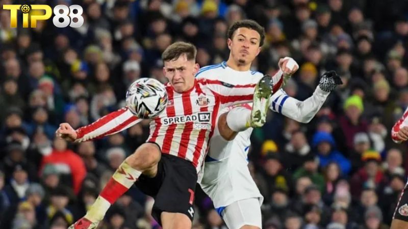Lịch sử đối đầu Sunderland vs Leeds United