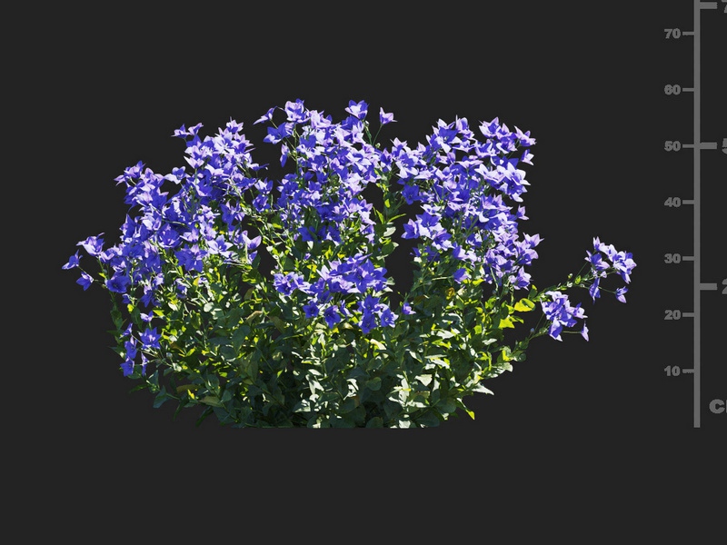 Maxtree - Plant Models Vol.112