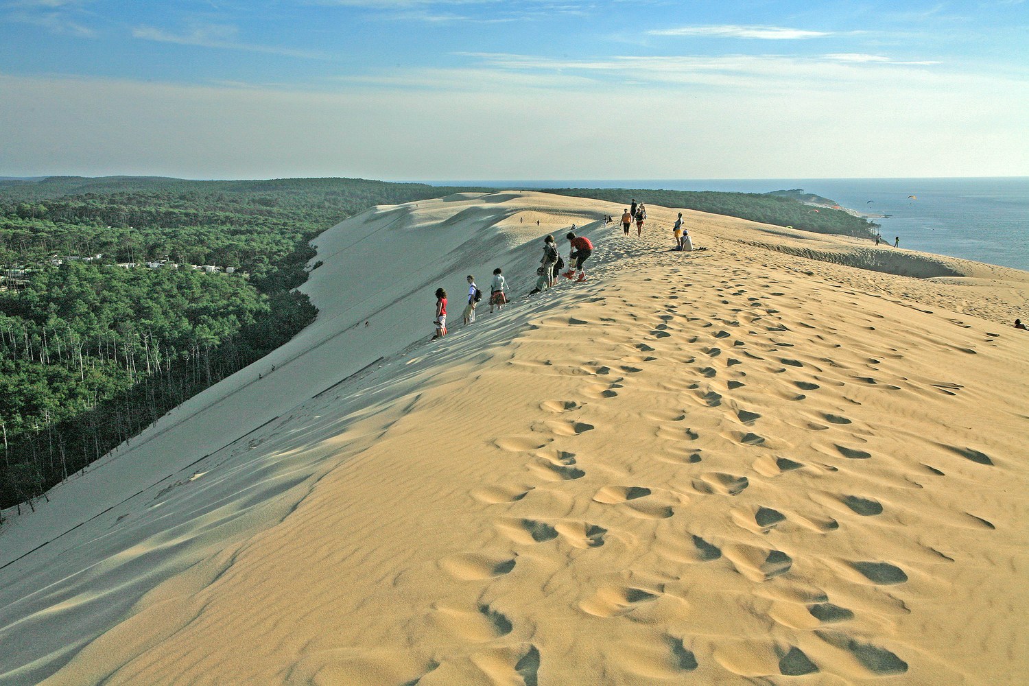 Dune du Pilat golden sand ridge bordering the maritime pine forest with Arcachon Bay on the horizon