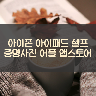 셀프 증명사진 썸네일