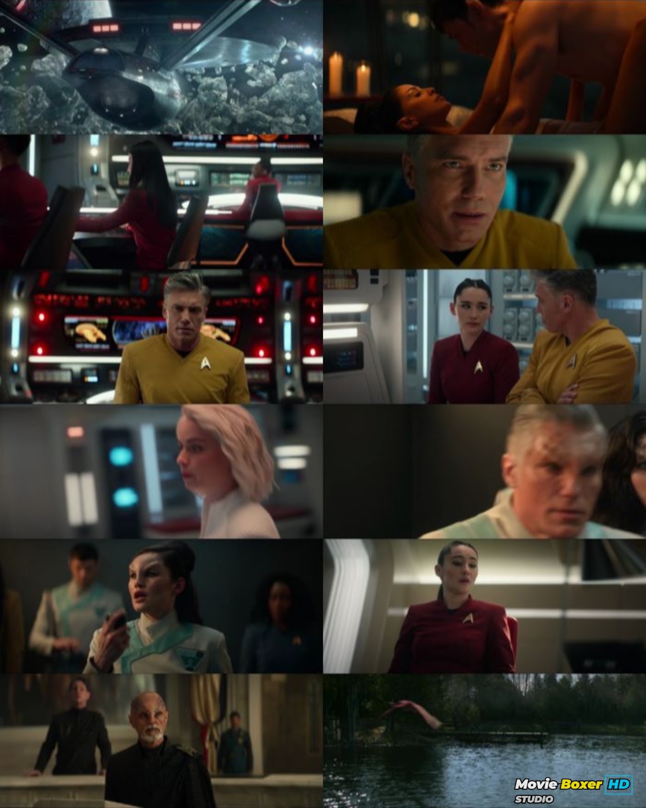 Screenshots Grid