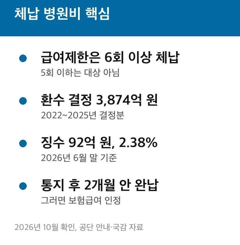 체납 병원비 핵심