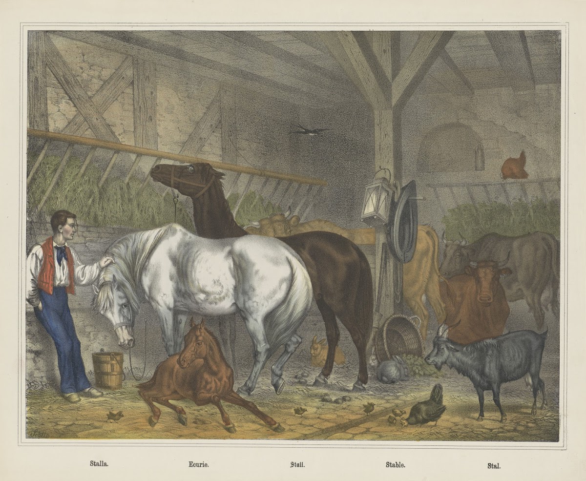 Stable 1829   1880