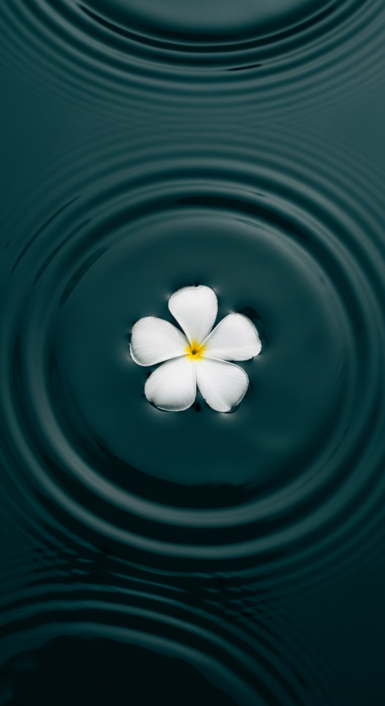 Single White Petal Flower Floating on Dark Teal Rippling Water Macro Shot - Free 4K mobile Wallpaper