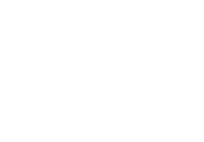 ToanTamPhat.png