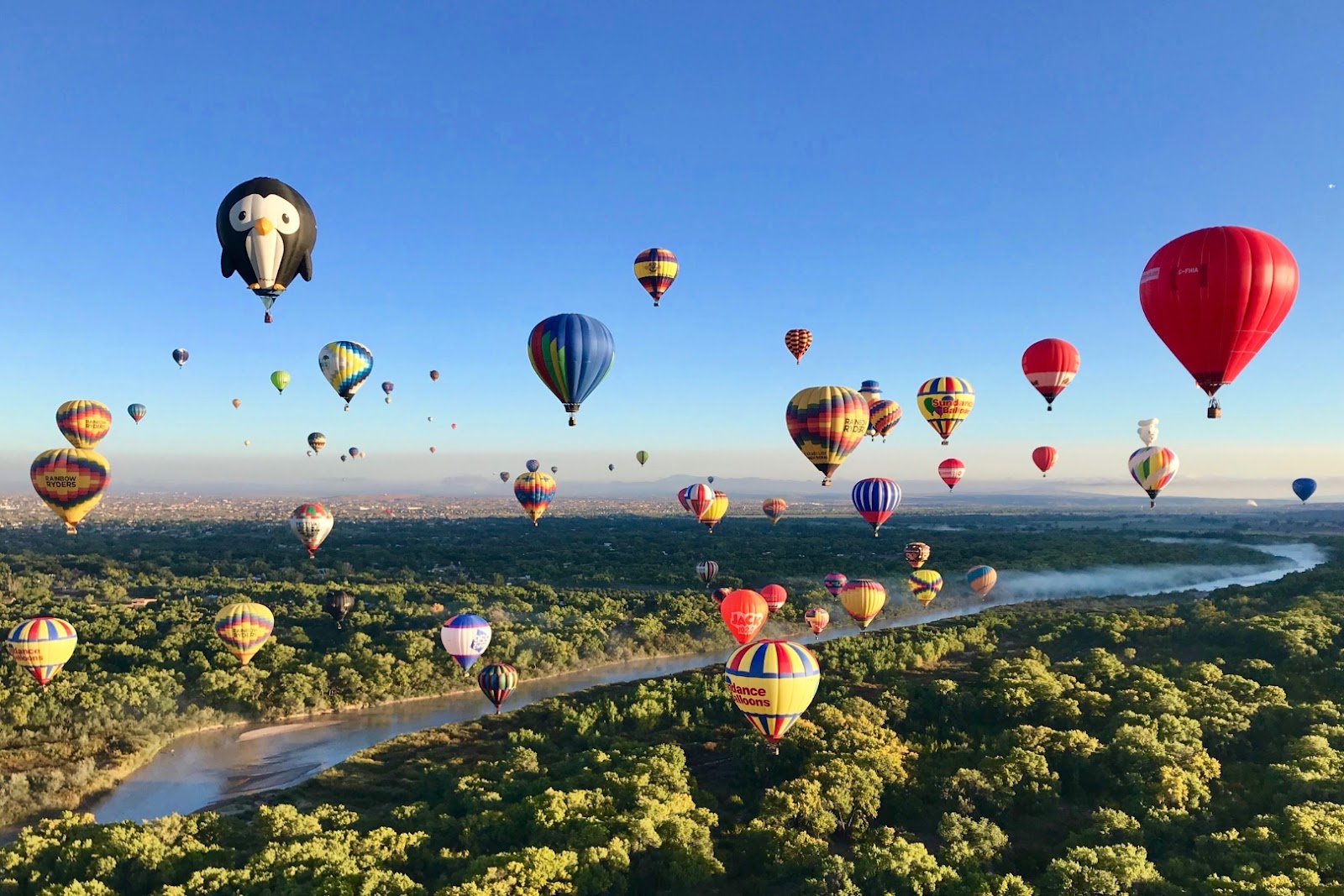 Dozens of colorful hot-air balloons filling the sky during a mass ascension in Albuquerque, New Mexico.