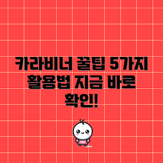 카라비너, 카라비너 활용법, 야외 활동, 캠핑 필수 아이템, 카라비너 사용 팁