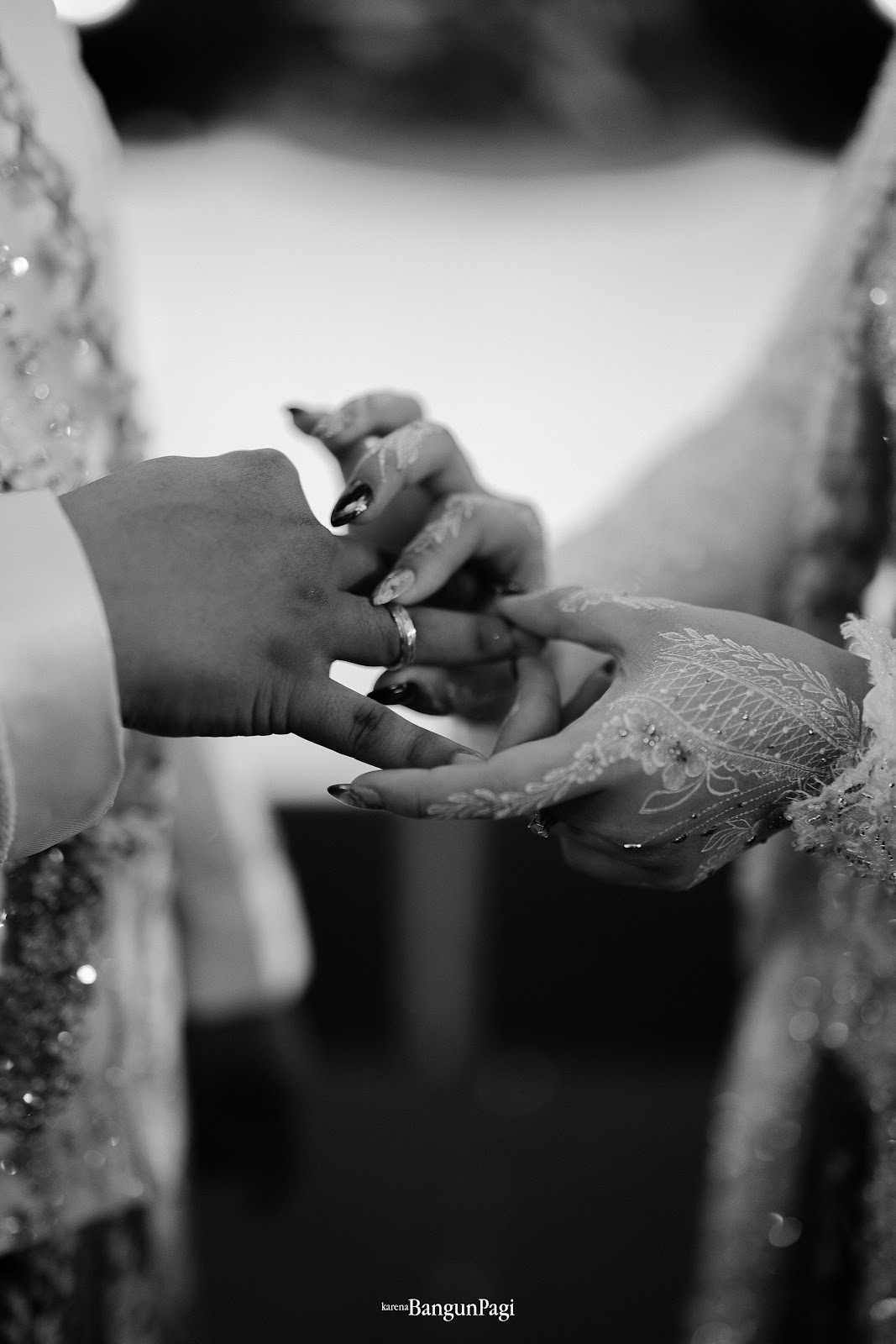 Gallery image 36