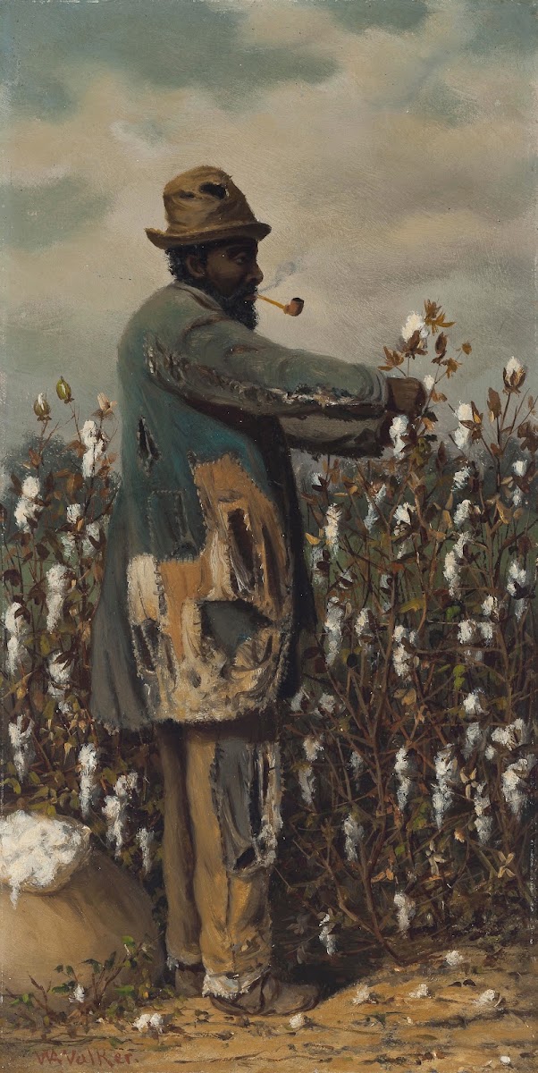 Cotton Picker Man