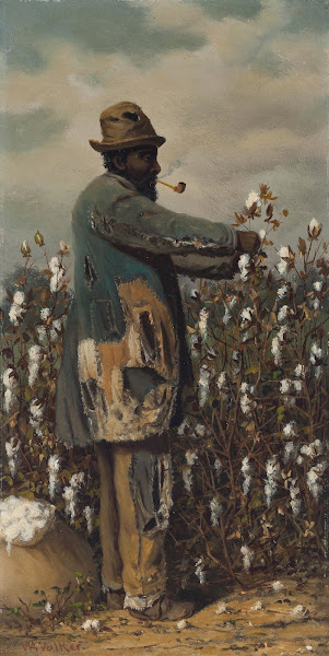 Cotton Picker Man