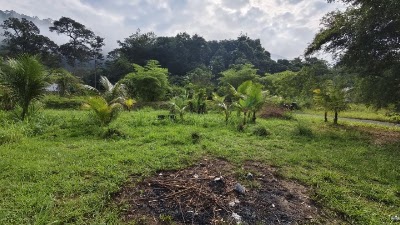 Tanah Tepi Sungai Mukim Hulu Langat (Ada Rumah) — foto 7/10