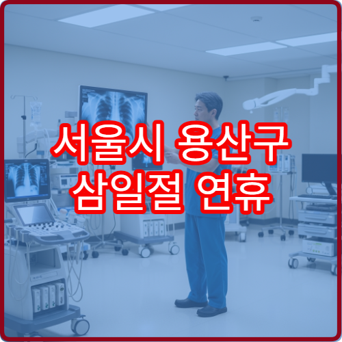 서울시 용산구 삼일절 연휴 문 여는 병원 어디? 대체공휴일 진료 가능 시간 안내