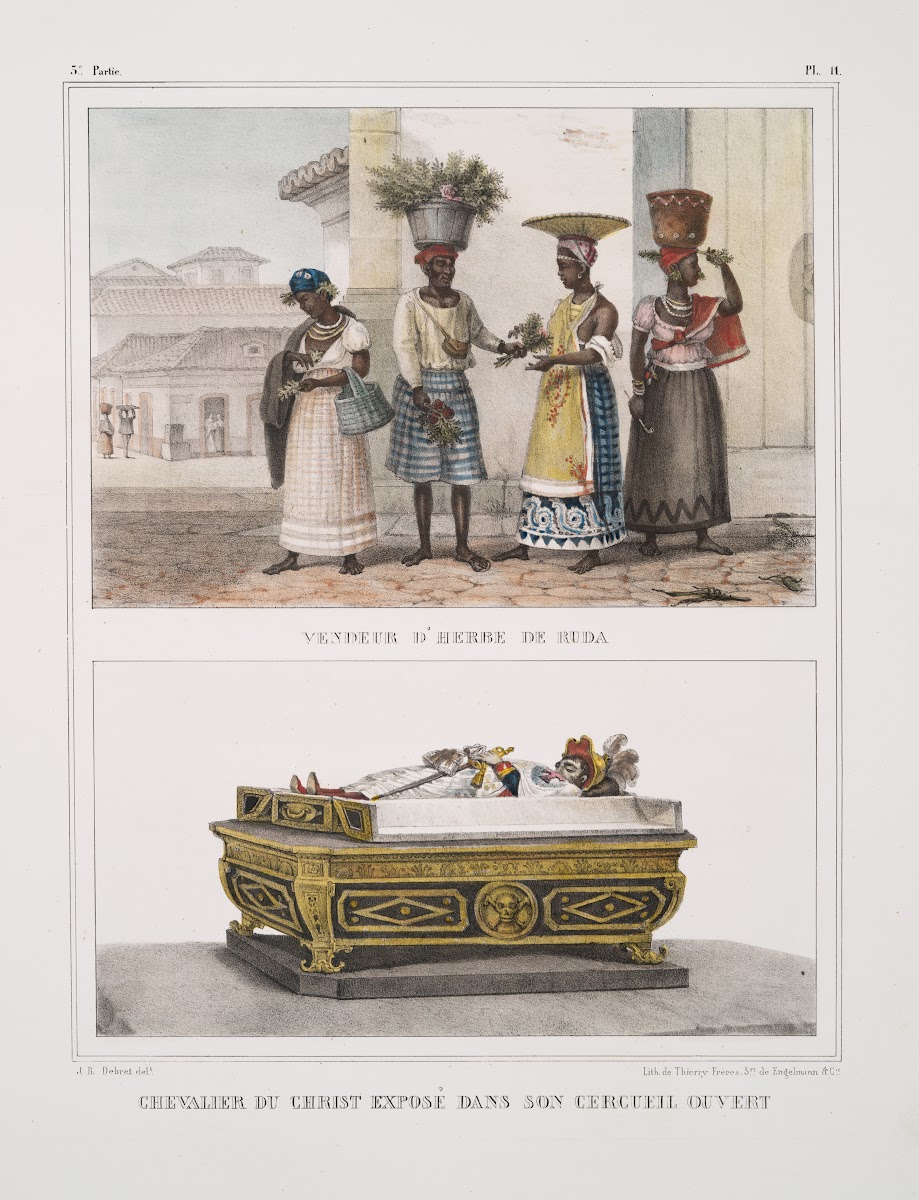 Vendeur dherbe de Ruda Chevalier de Christ exposé dans son cercueil ouvert 1834