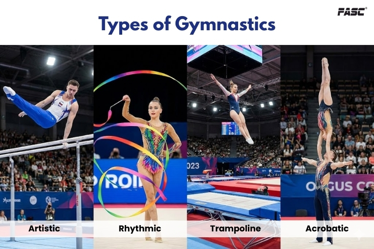 Types of Gymnastics