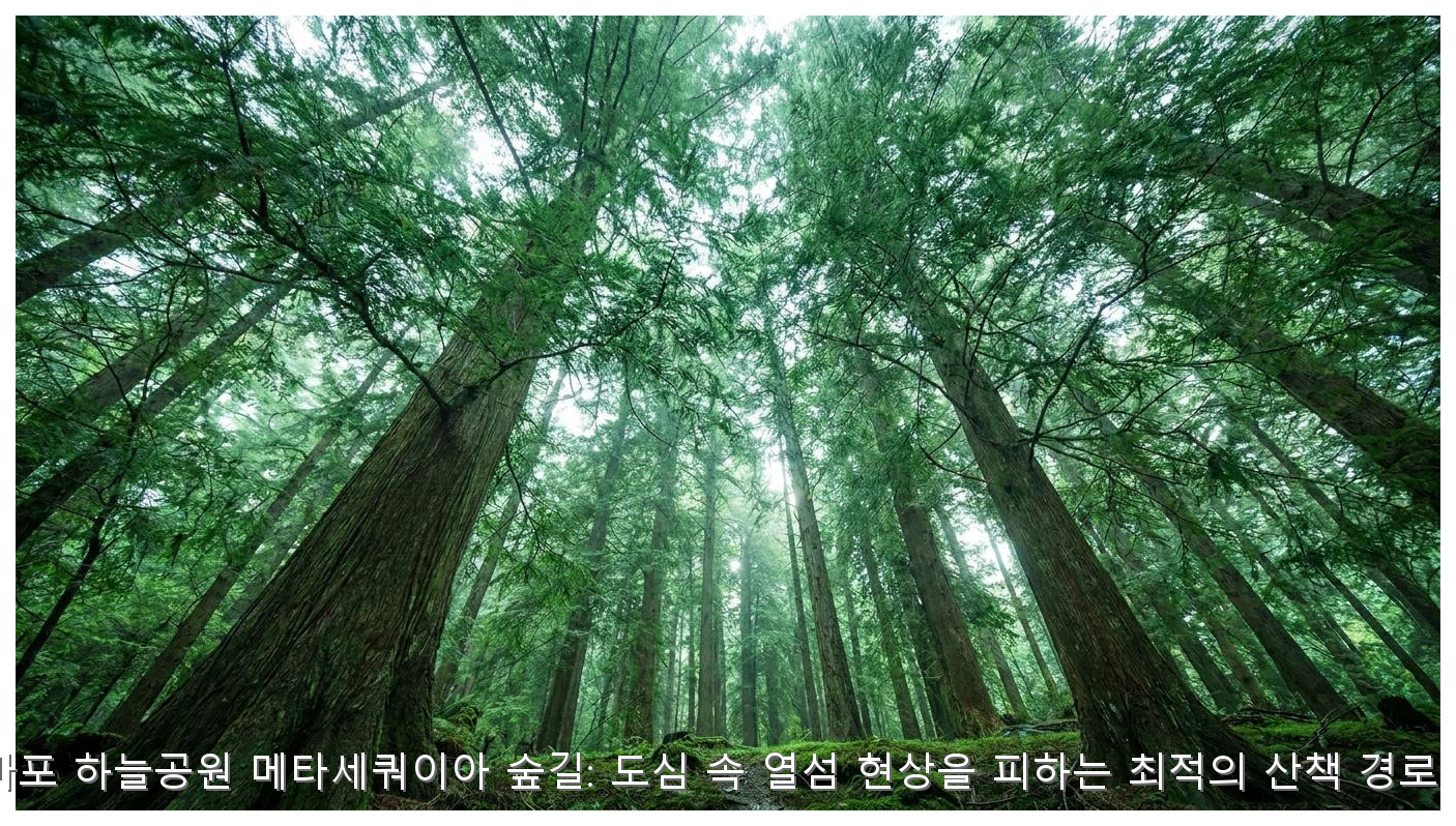 서울 마포 하늘공원 메타세쿼이아 숲길: 도심 속 열섬 현상을 피하는 최적의 산책 경로 가이드 핵심 안내 및 분석 인포그래픽 (3)