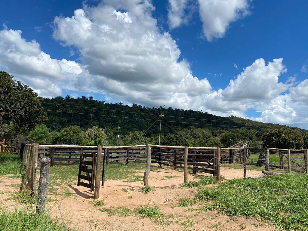 Fazenda em Piranhas-GO 10