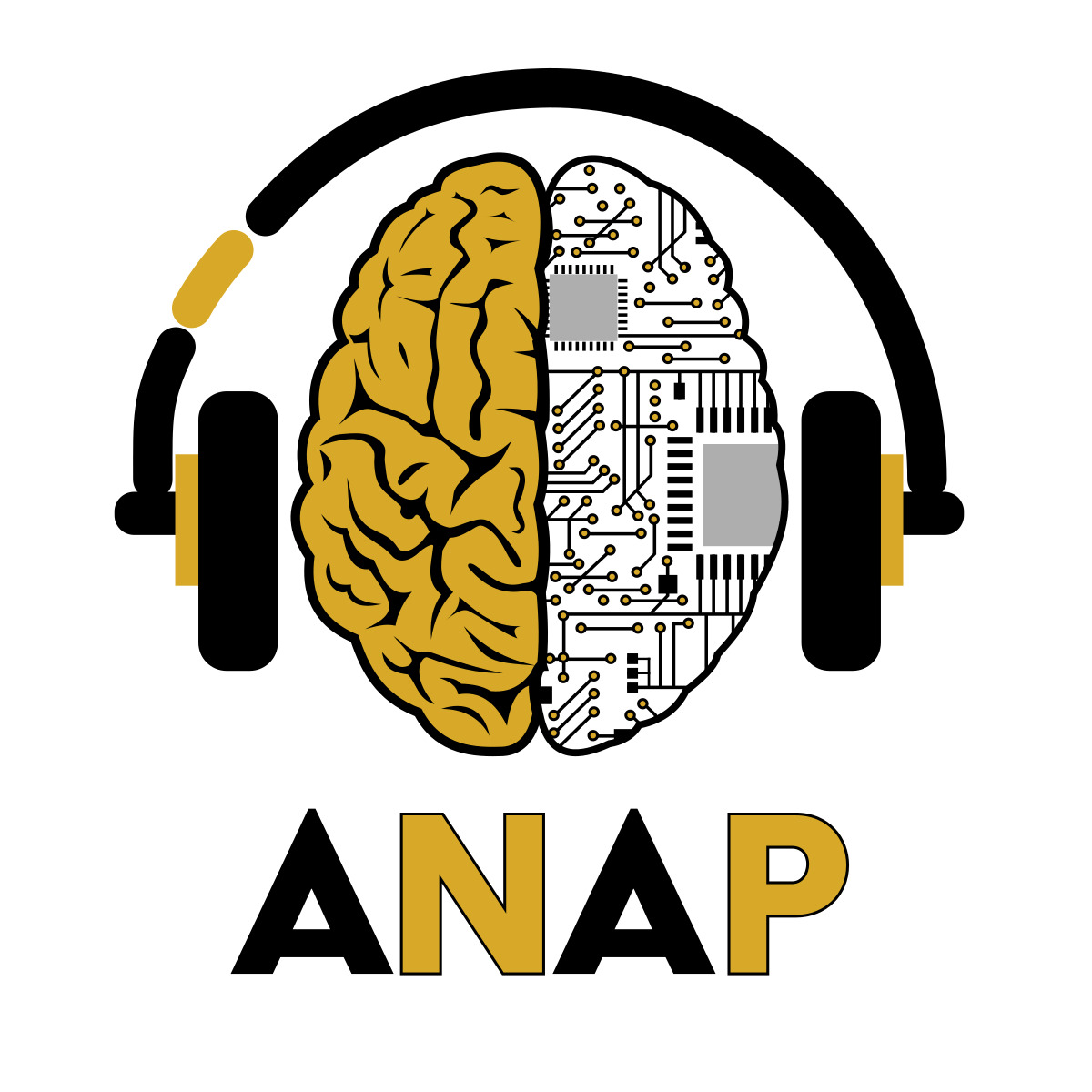 ANAP Logo