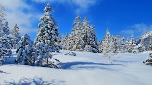 Winter Nature Wallpaper