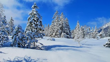 Winter Nature Wallpaper