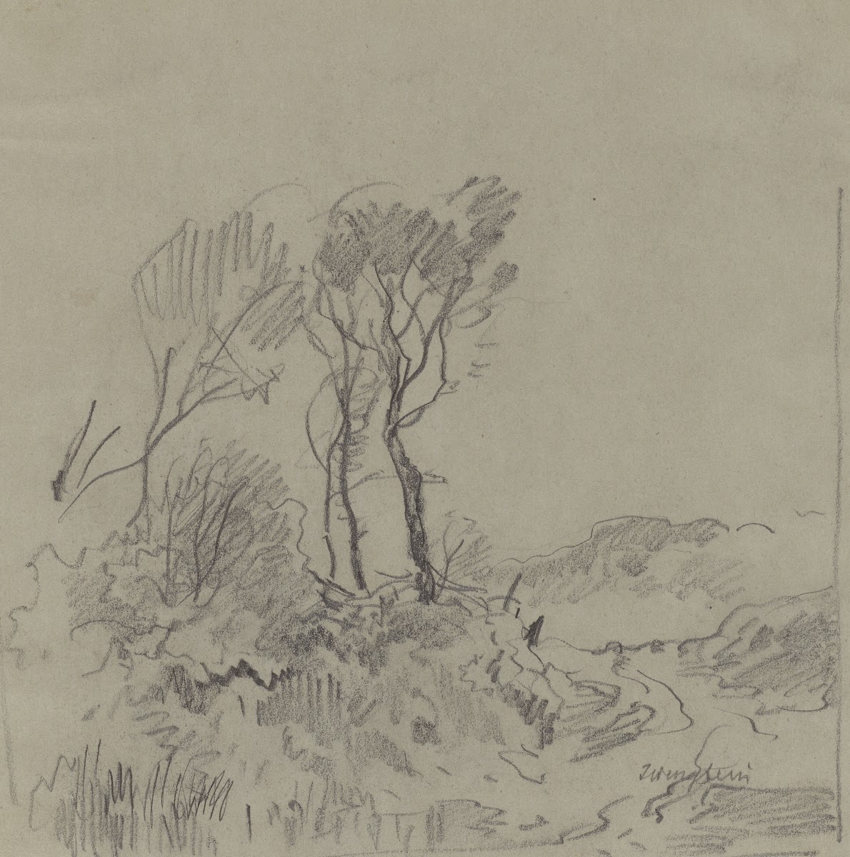 Tree Studies