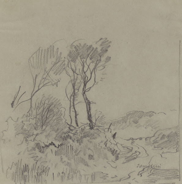 Tree Studies