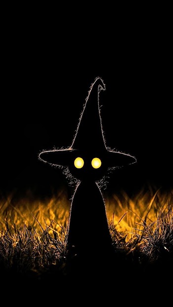 Wizard Picture