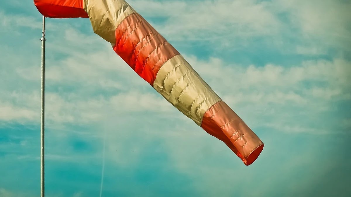 경제 지표 해석법: 금리, 환율, 물가의 상관관계 이해하기