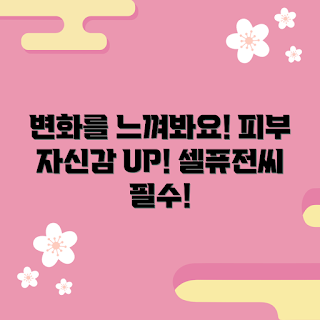 셀퓨전씨토닝썬스크린100, 피부 변화를 경험하는 법, 왜 셀퓨전씨를 선택해야 할까, 톤업 선크림 추천, 셀퓨전씨 효과