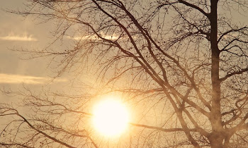 Ritual Kecil Pagi Hari yang Diam-diam Menentukan Mood Seharian