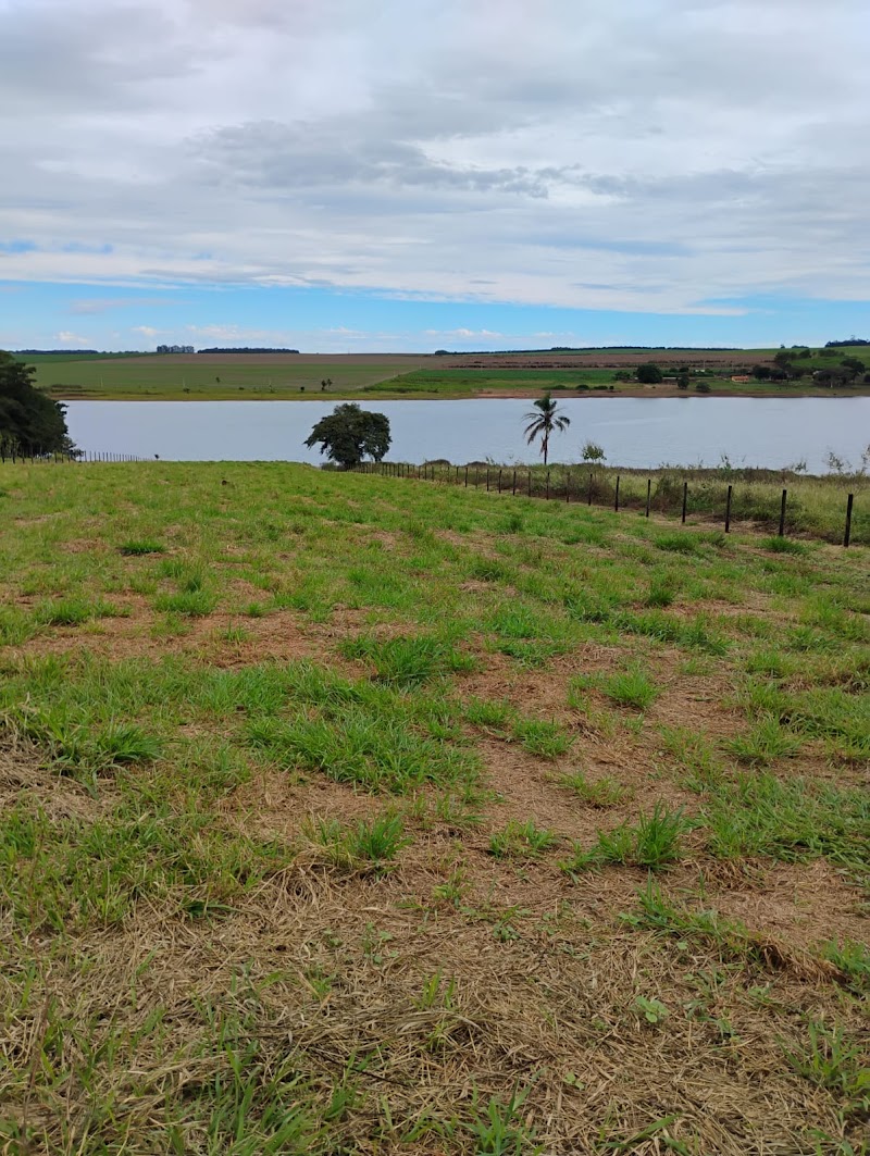 Foto 6 de Terreno pé na água à venda de 6.000m² no Riviera Norte em Arandu