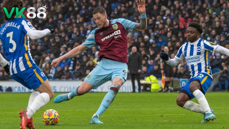 Lịch sử đối đầu Brighton vs Burnley