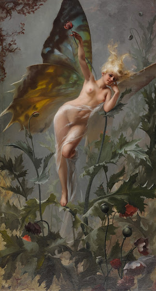 The Poppy Fairy 1888 4784x8887 (1)