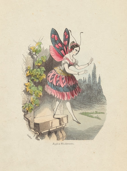 Vertu médicale du boléro 1852