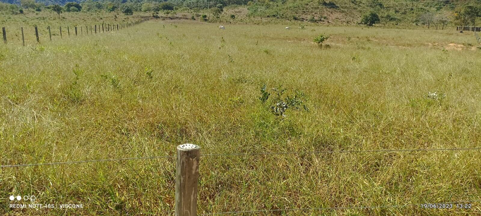 Fazenda em Minaçu - GO 7