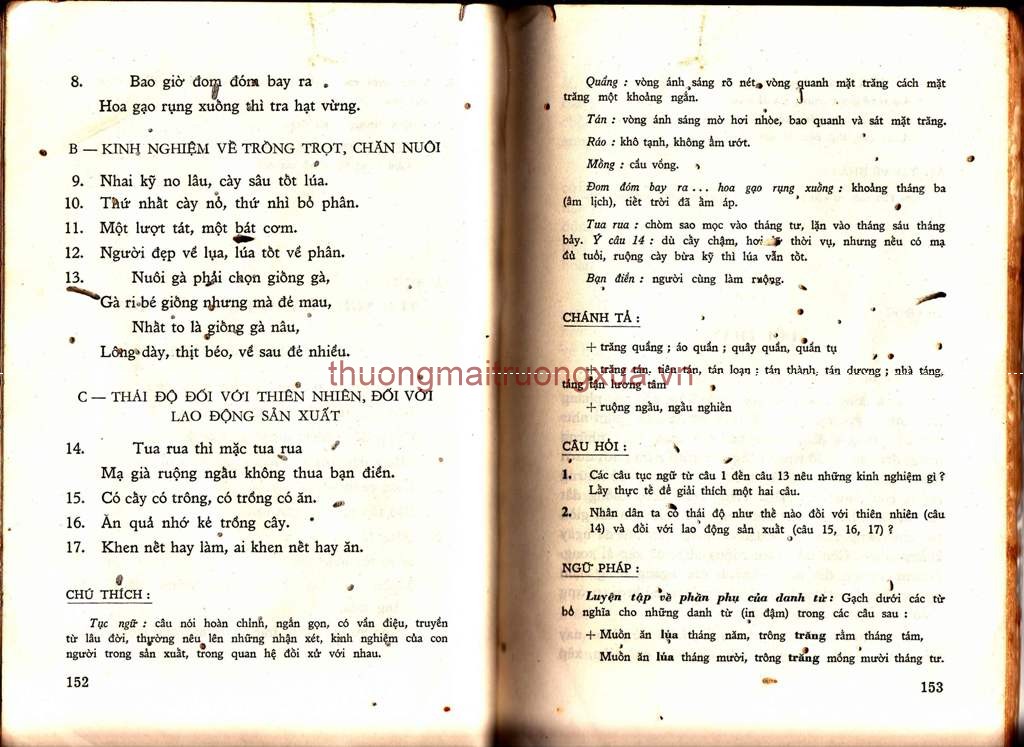 Tâm hồn cao thượng (1952) - Trang 76