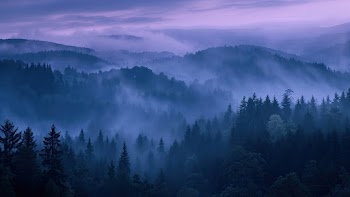 Mountain Forest Wallpaper