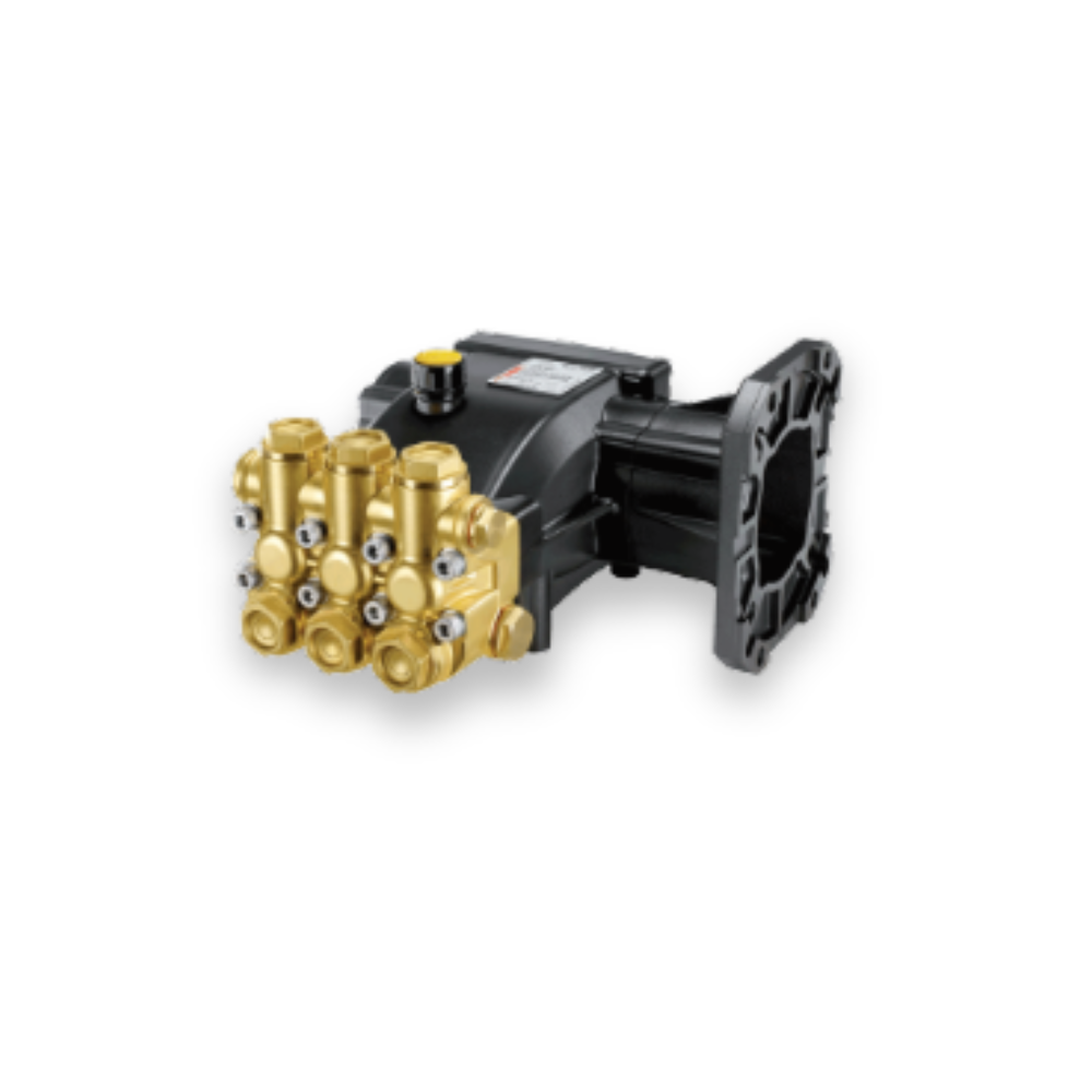 Pumps for gasoline engine
