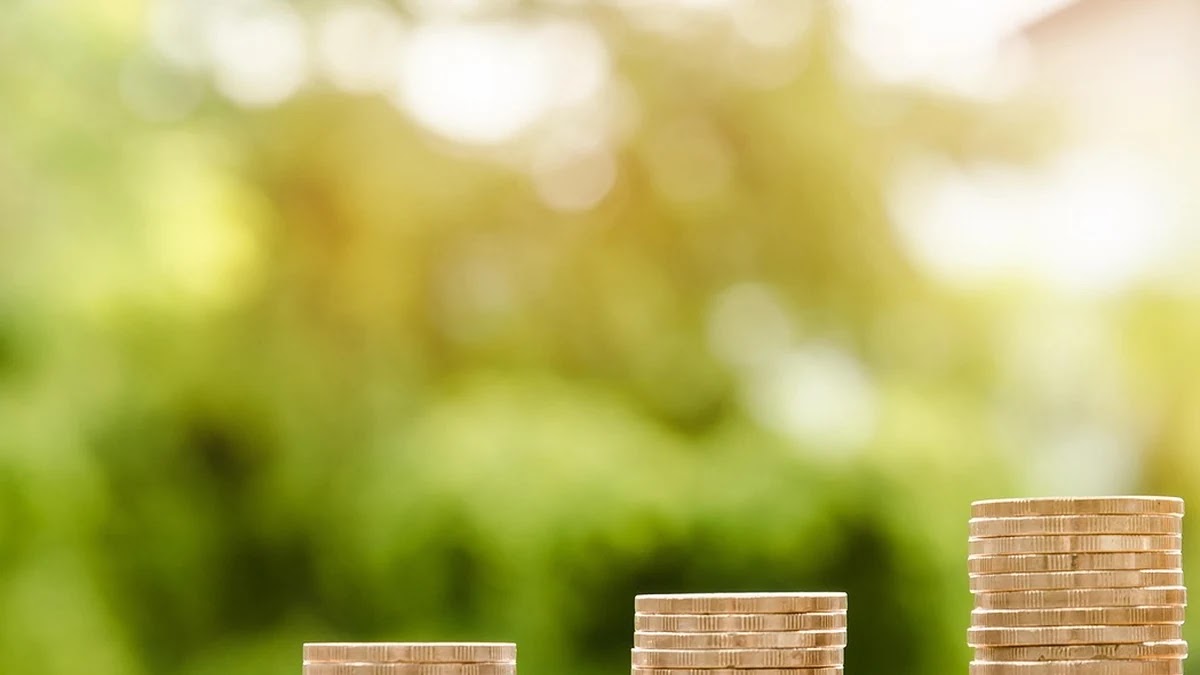 진로 설계 시 고려해야 할 직업별 연봉과 성장 가능성 기준