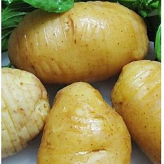 Khoai tây lựa củ nhỏ đều hình oval, rửa sạch, ngâm nước khoảng 10 phút cho tan hết đất bám trên vỏ. Sau đó rửa sạch, thấm khô nước. Khoét bỏ các mắt đen trên củ khoai. Cắt ngang củ khoai nhưng vết cắt không đứt, đường nọ cách đường kia khoảng 3mm.
