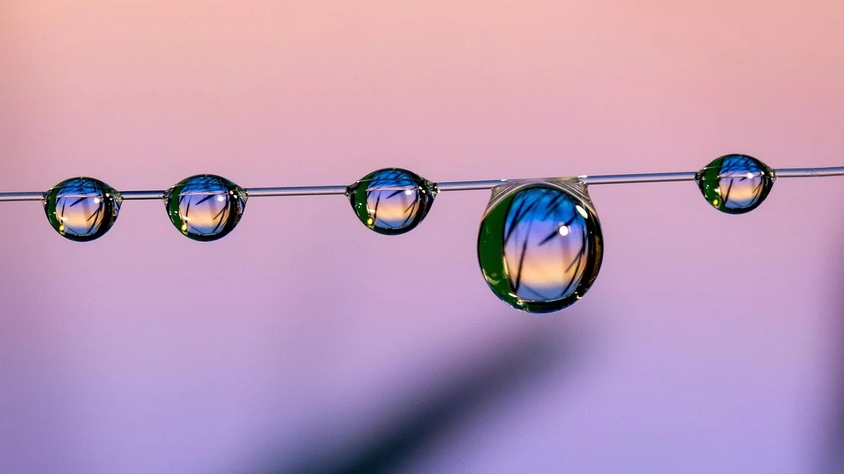 신용카드 실적 조건 비교, 어떤 카드가 더 유리할까