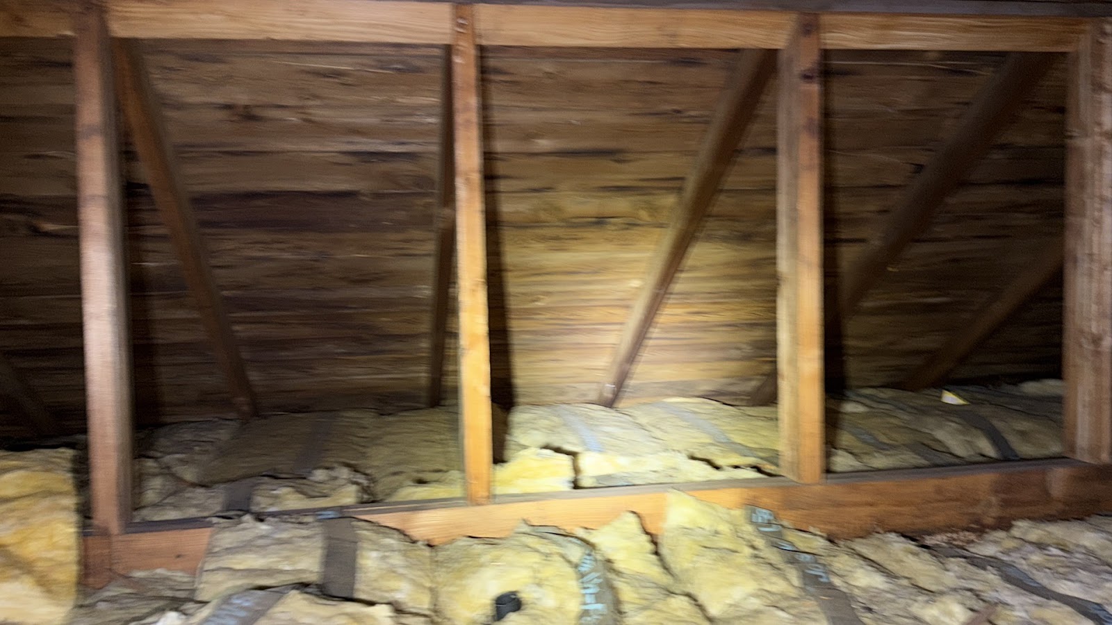 Copy of IMG_2026-03-13_14-12-50_452.jpg