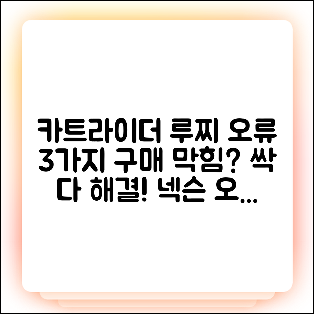 넥슨 카트라이더 루찌 구매 오류 3가지 해결법