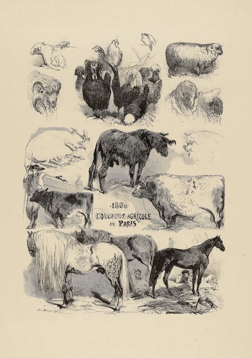 Concours agricole 1860